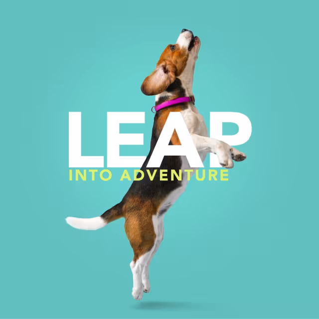 A small dog leaping upward with the words "leap into adventure" superimposed.